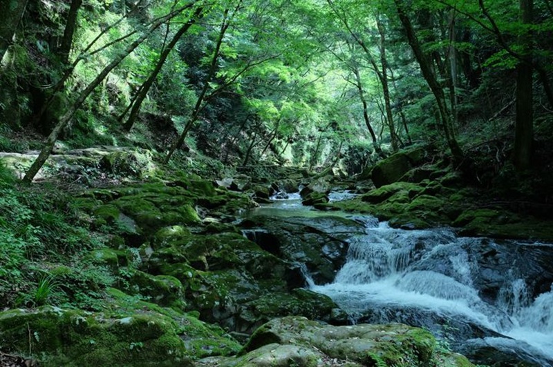 北茨城